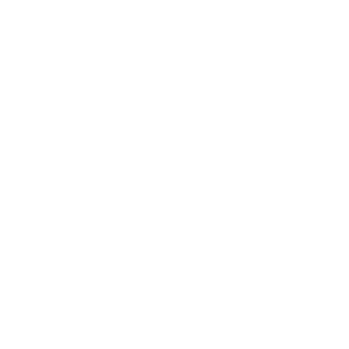 PETIT SA